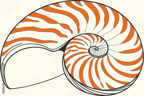 Seashell, spiral pattern, nautilus shell, orange and white stripes, natural texture, marine life, detailed close-up, high contrast, smooth surface, mathematical perfection, Fibonacci sequence, beach t