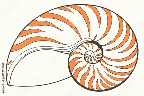 Seashell, spiral pattern, nautilus shell, orange and white stripes, natural texture, marine life, detailed close-up, high contrast, smooth surface, mathematical perfection, Fibonacci sequence, beach t