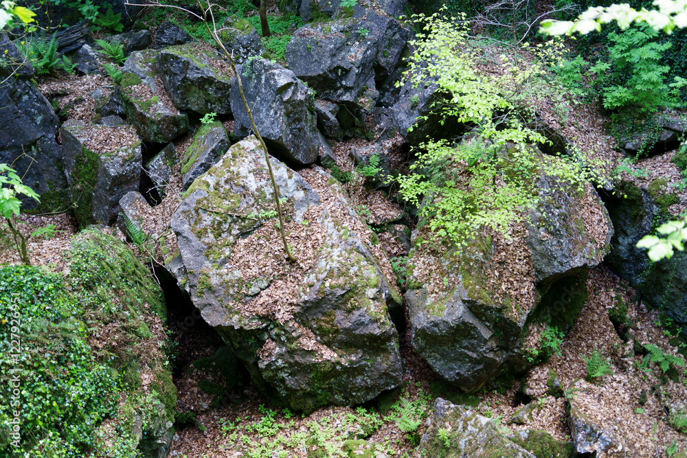 Large natural stones in the summer reserve Large natural stones in the summer reserve