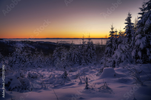 Winter im Ebbegebirge photo