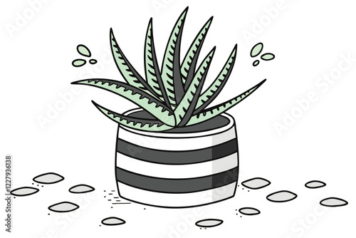 Succulent plant, Haworthia, striped ceramic pot, white and black stripes, small potted plant, green spiky leaves, white background, high contrast, sharp details, macro photography, houseplant, minimal