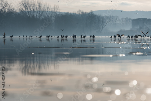 Fototapeta Naklejka Na Ścianę i Meble -  Goczałkowice Zdrój, poranek we mgle. 