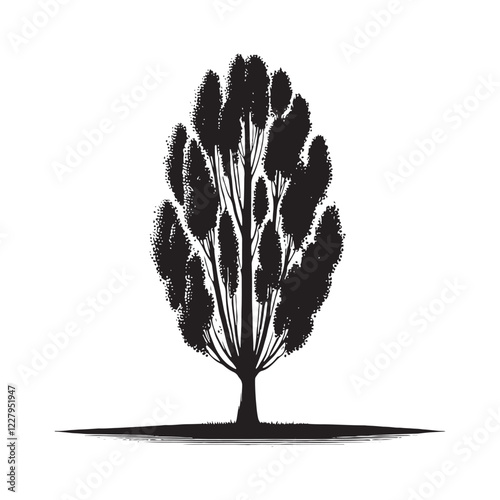 Poplar Tree silhouette with a distinctive tall shape and wide crown - Poplar tree silhouette - Poplar tree vector - Poplar tree illustration - Poplar silhouette - Poplar vector
