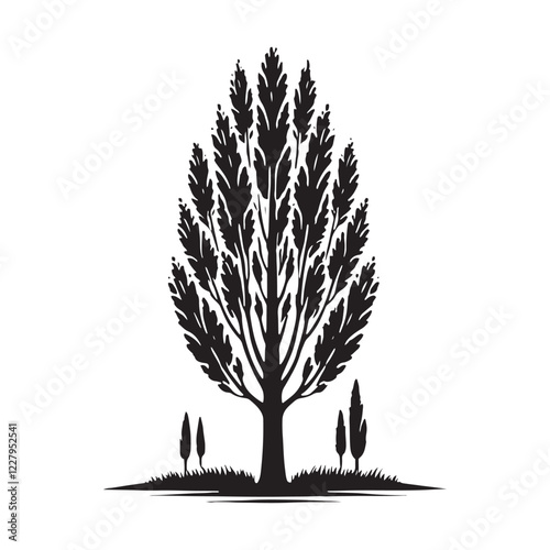 Detailed Poplar Tree silhouette featuring a tall trunk and wide canopy - Poplar tree silhouette - Poplar tree vector - Poplar tree illustration - Poplar silhouette - Poplar vector
