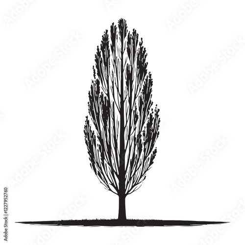 Poplar Tree silhouette with realistic proportions and a graceful stance - Poplar tree silhouette - Poplar tree vector - Poplar tree illustration - Poplar silhouette - Poplar vector
