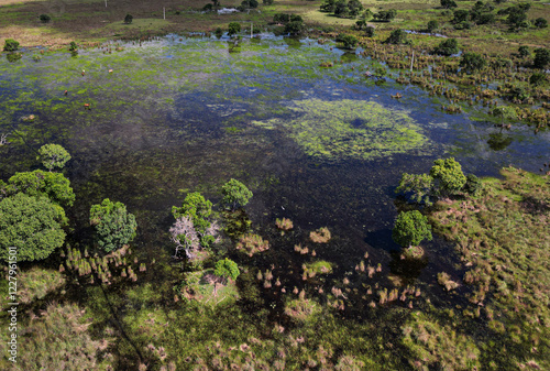 sunset in the Brazilian Pantanal
