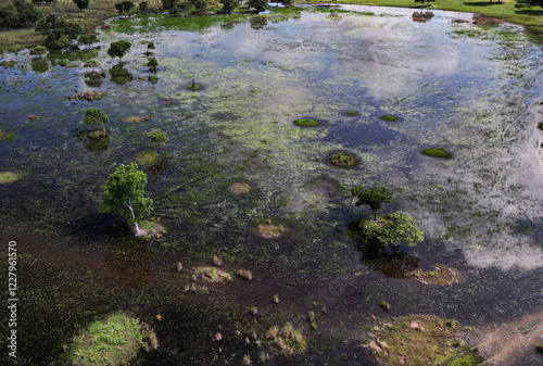 natural landscape of the Brazilian Pantanal