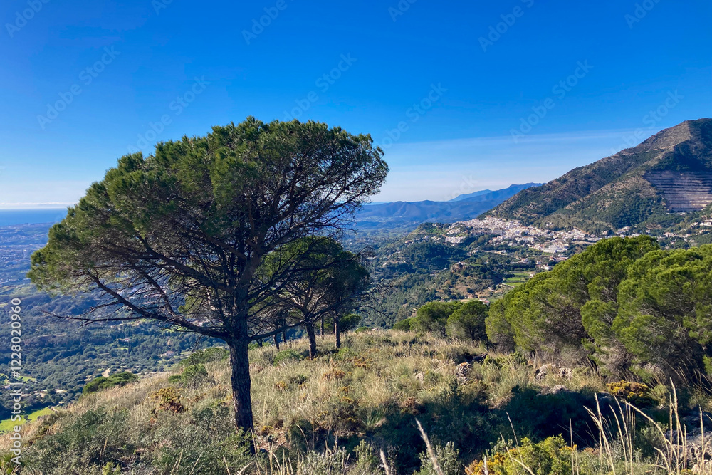 Landscape of Mijas and surrounding mountains, Andalusia, Malaga, Spain Landscape of Mijas and surrounding mountains, Andalusia, Malaga, Spain