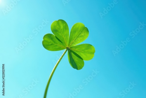 Green clove leaf shoot against clear blue sky, botanicals, green shoots
