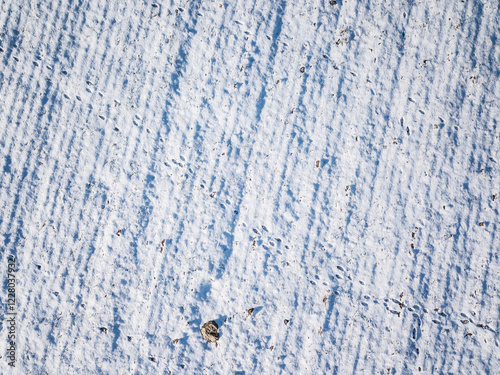 Top down view of a snowy field with deer tracks. Winter landscape from above.