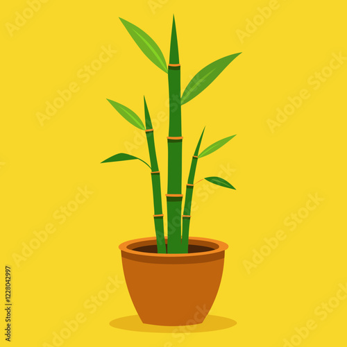 bamboo plant in a pot