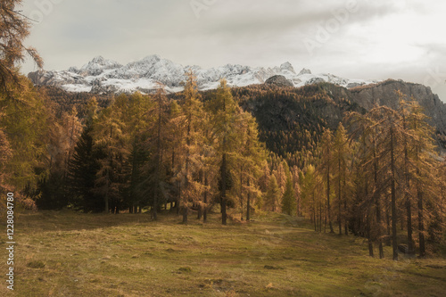 Autunno a Cortina