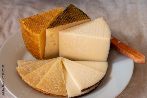 Assortment of Spanish hard cheeses, curado, manchego, goat cheese served for tasting, close up photo