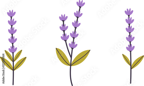 Lavenders, Provence flowers set. French floral herbs with pink and violet blooms. Simple flat collection of Lavandula