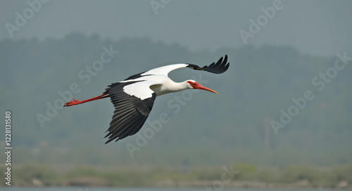 Stunning white stork flying gracefully over a serene landscape with mountains in the background