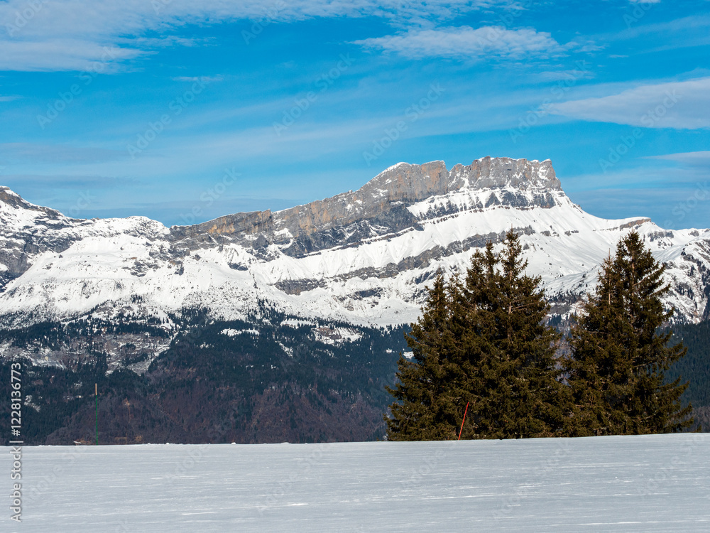 Fototapeta premium mountains with snow, rocks and green trees at the top blue sky, chamonix french alps