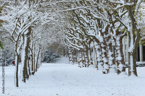 le parc de Vittel sous la neige  photo