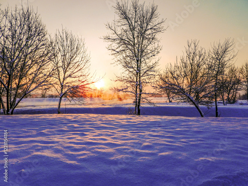 sunset in the park photo