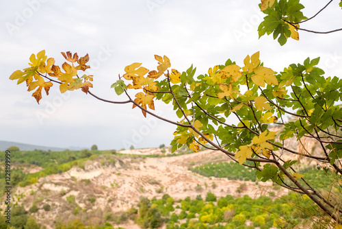 Branch of an autumn tree against a background of mountains