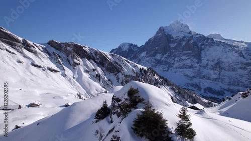 rising up revealing alpine cottages at bachlaeger above grindelwald with stunning view of mount wellhorn and wetterhorn in background