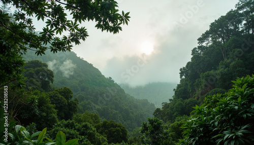 Quadro su tela Foggy Rainforest mountains under cloudy sky