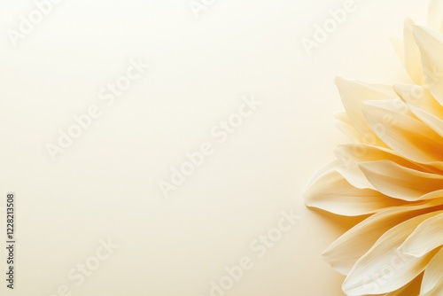 Soft pastel background with elegant flower detail, exuding tranq