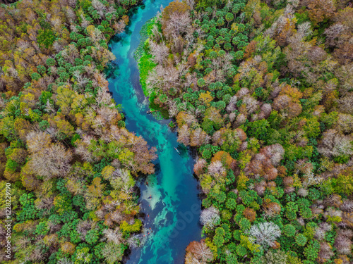 Silver River, Ocala, Florida photo