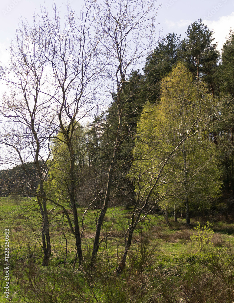 Nature of northern Poland. Stunning landscape. Nature of northern Poland. Stunning landscape.