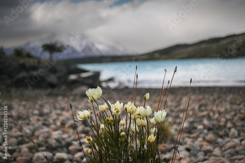 Parque Nacional Perito Moreno