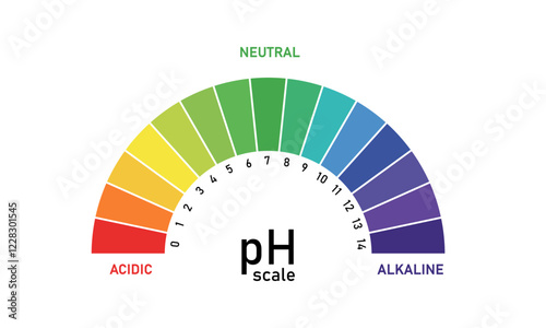 pH Scale Chart. Color Indicator for Acid and Alkaline Levels PNG