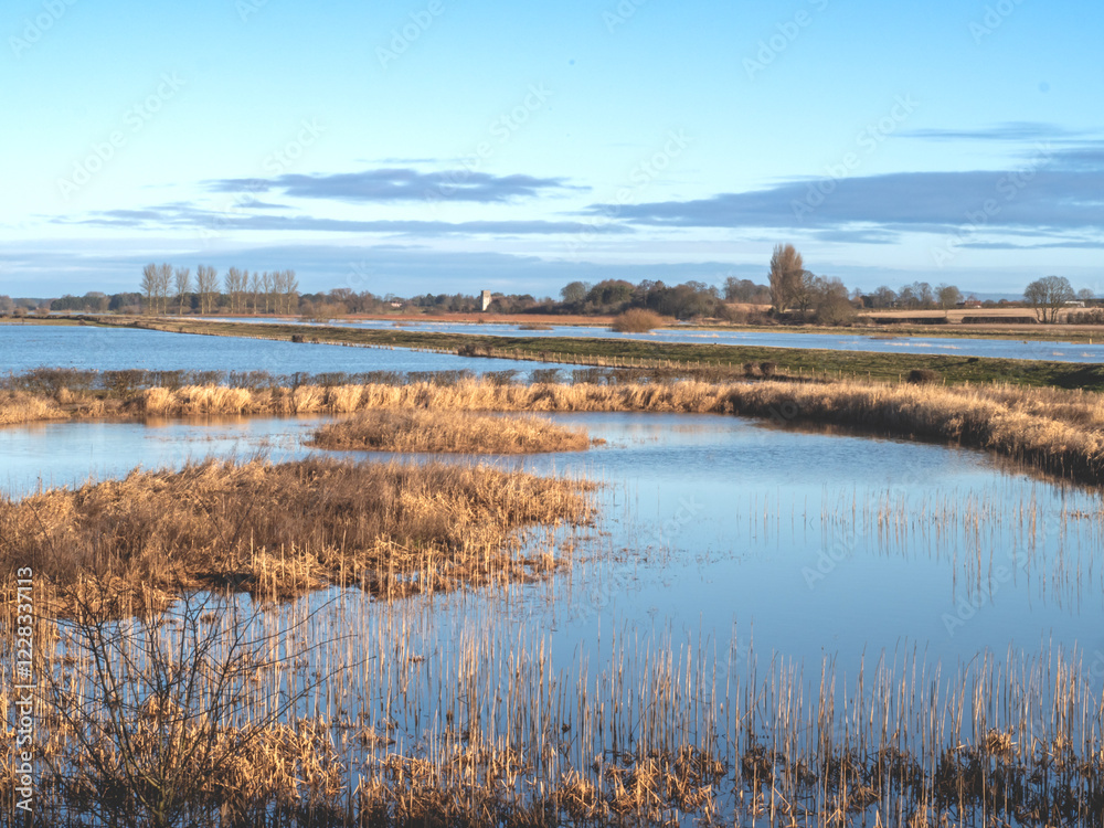 Fototapeta premium Wetland habitat and blue sky, North Yorkshire, England