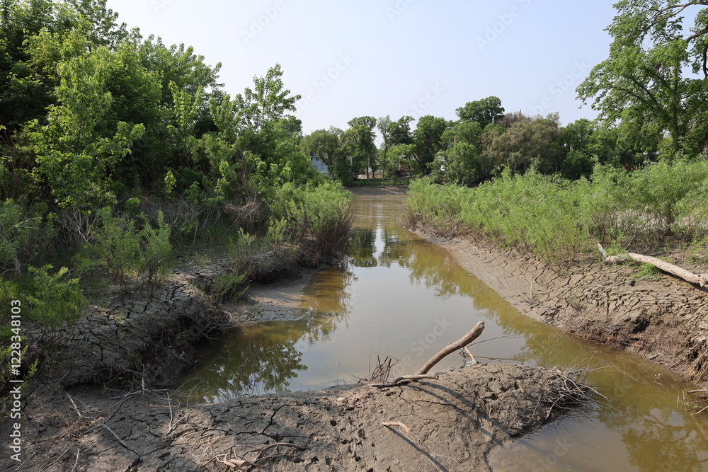 breeched beaver dam across a shallow muddy creek between dry cracked banks in hot summer sun breeched beaver dam across a shallow muddy creek between dry cracked banks in hot summer sun