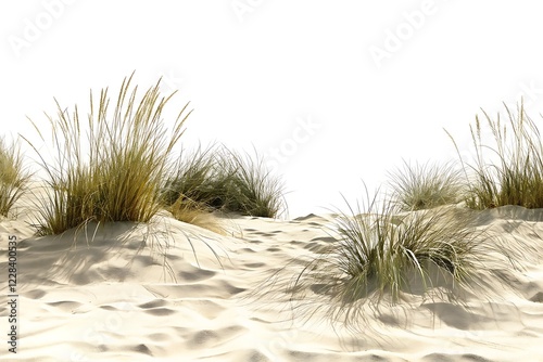 Realistic High-Resolution Sand Dunes with Coastal Grass – Natural Beach Landscape Illustration