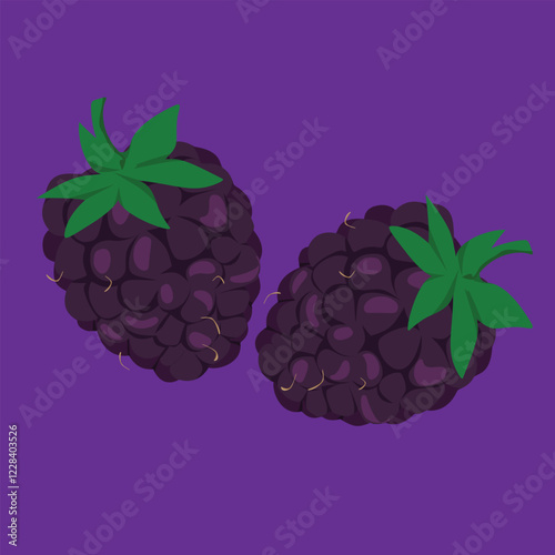 blackberry fruit fresh flat design fruit exotic and fresh fruits