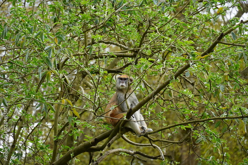 Seattle Zoo