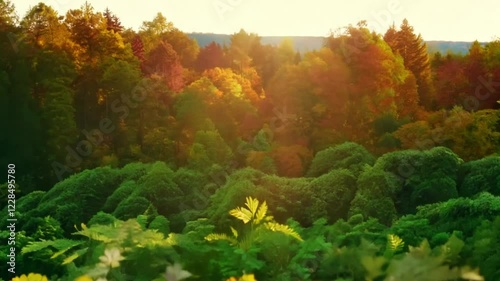 Witness the breathtaking changes of nature with 