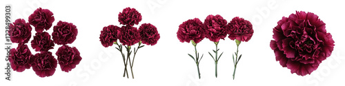 Stunning close up shot of a lush vibrant red carnation flowers blooming beautifully in a romantic floral bouquet arrangement  The velvety crimson petals create a luxurious
