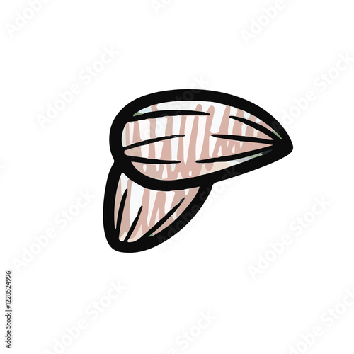 Almonds Hand-drawn