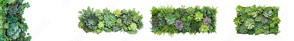 Stunning Vertical Garden Wall Filled with Lush Greenery and Succulents Stunning Vertical Garden Wall Filled with Lush Greenery and Succulents