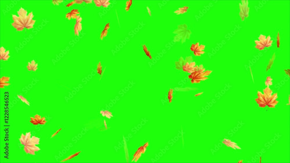 Fall autumn leaves animation - Vertical video on green screen, autumn leaves transitions 4k.
Falling autumn leaves 4K animation video with a green screen background. Autumn Leaves Falling Fall autumn leaves animation - Vertical video on green screen, autumn leaves transitions 4k.
Falling autumn leaves 4K animation video with a green screen background. Autumn Leaves Falling