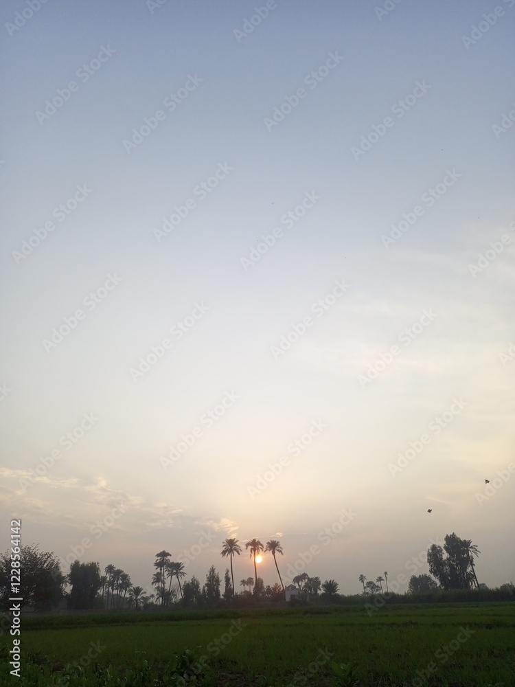 sunset over the field sunset in the countryside beautiful view and seen beautiful background and wallpaper beautiful sunset sunset over the field sunset in the countryside beautiful view and seen beautiful background and wallpaper beautiful sunset