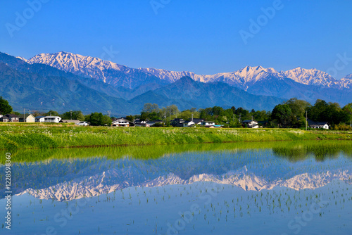 水田と北アルプス・水鏡（長野県・安曇野市）