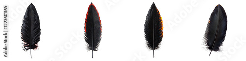 Elegant and Stylish Feather Patterns with Vivid Red Black and Yellow Colors for Graphic Design Purposes  These Feathers Can Be Used as Decorative Elements Patterns Symbols photo