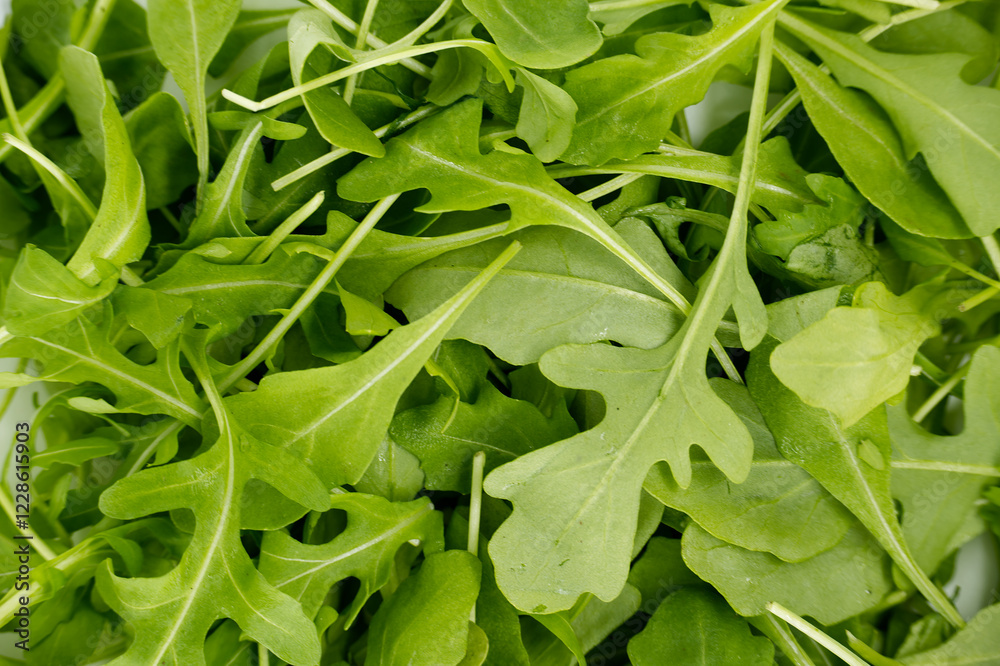 Fresh Green Arugula Leaves Perfect For Healthy Salads And Garnishes Fresh Green Arugula Leaves Perfect For Healthy Salads And Garnishes