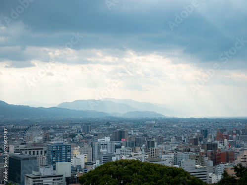 view of the city from the top of the hill