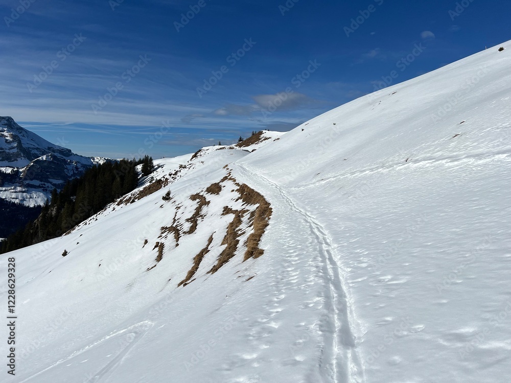 Wonderful winter hiking trails and traces in the fresh alpine snow cover of the Swiss Alps and over the tourist resort of Engelberg - Canton of Obwalden, Switzerland (Kanton Obwald, Schweiz) Wonderful winter hiking trails and traces in the fresh alpine snow cover of the Swiss Alps and over the tourist resort of Engelberg - Canton of Obwalden, Switzerland (Kanton Obwald, Schweiz)