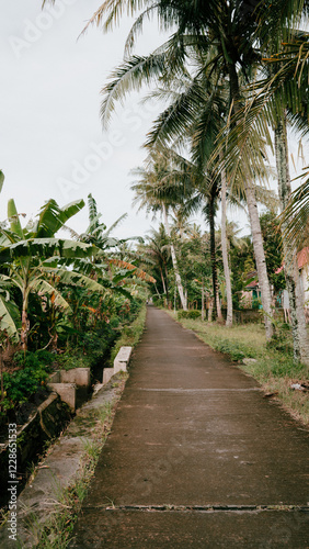 Pathway in the village of indonesia