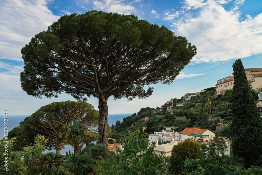 A beautiful garden full of trees overlooks the amalfi coast. A beautiful garden full of trees overlooks the amalfi coast.