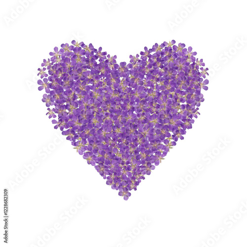 Heart symbol with realistic pressed purple flowers of wild geranium on transparent background.