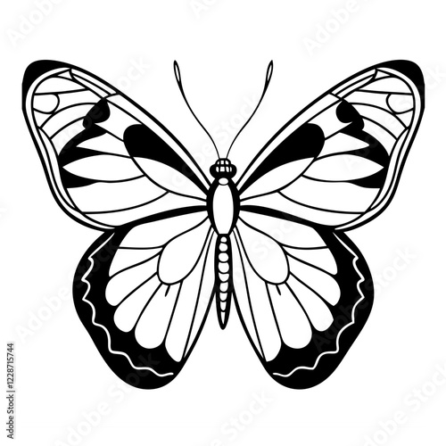 Clouded sulphur butterfly line art  isolated on White background